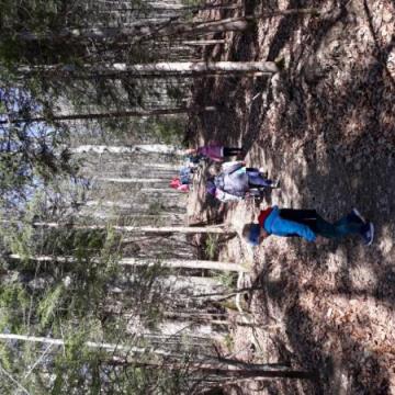 20210326_101642 (Medium)